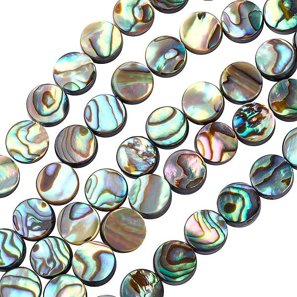 BENECREAT 30 Packs Natural Abalone Shell Coin Flat Round Abalone Shell Beads with Storage Containers for DIY Jewelry Making