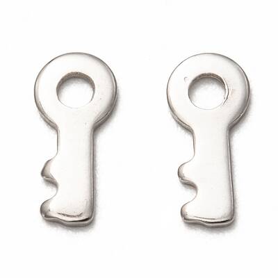 Non-Tarnish 201 Stainless Steel Charms
