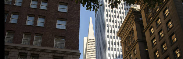 Unfolding the Financial District: Design adventures in San Francisco's hub