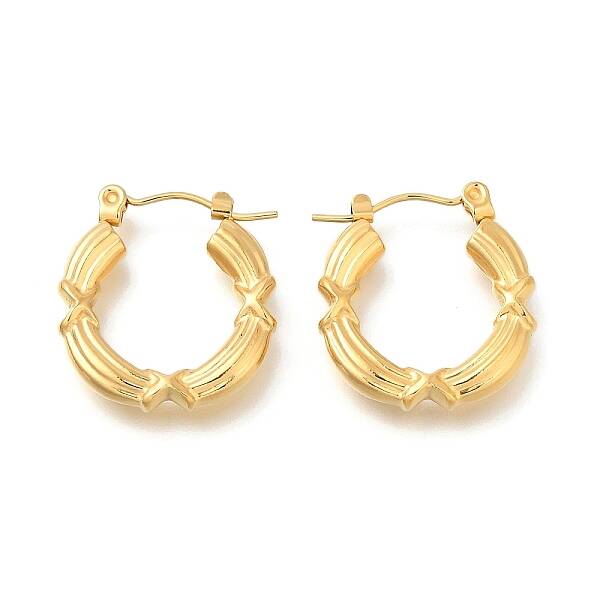 Ion Plating(IP) 304 Stainless Steel Ring Hoop Earrings for Women