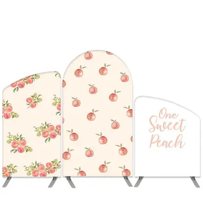 Aperturee Sweet Peach Theme Light Pink Birthday Arch Backdrop Kit | Custom Arched Wall Covers | Diy Chiara Backdrop Cover | C...