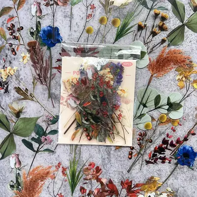 40pcs/pack Simulated Flower Plant Butterfly Sticker, Children's Decorative Collage Decal, DIY Decorative Sticker For Statione...