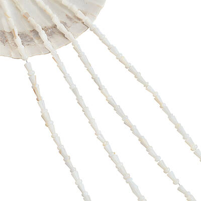 4 Strands Natural Freshwater Shell Beads Strands