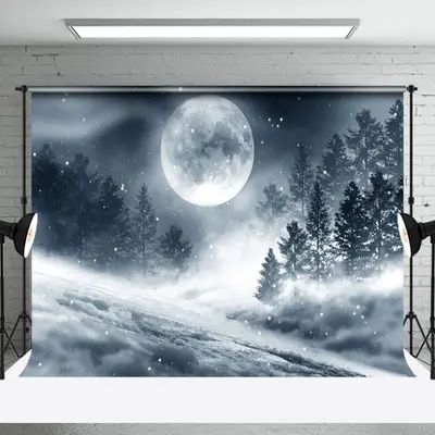 Aperturee Misty Moon Night Forest Snowland Winter Backdrop