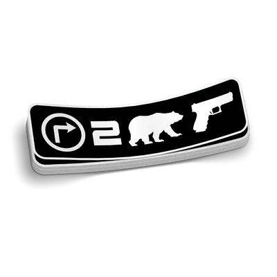Right To Bear Arms Decal