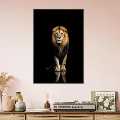 King of the Shadows - The Majestic Lion