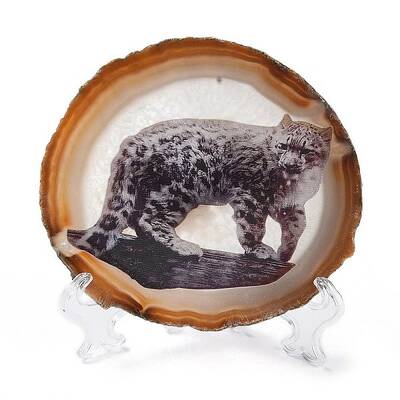Printed Natural Agate Slice Stone Ornament