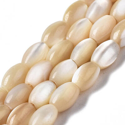 Natural Trochid Shell/Trochus Shell Beads Strands