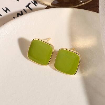 Alloy Enamel Earrings for Women
