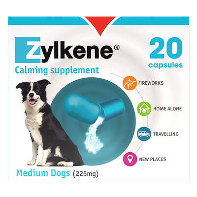 Zylkene Calming Supplement For Medium Dogs 225mg 20 Capsules