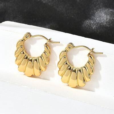 304 Stainless Steel Hoop Earrings for Women