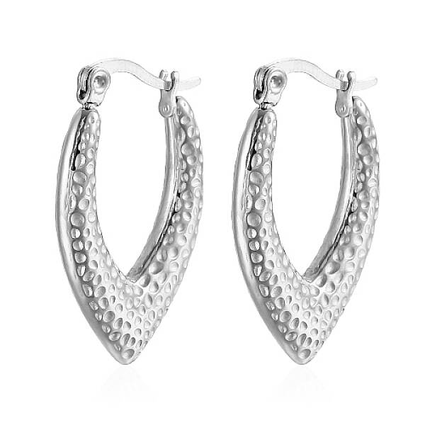 Non-Tarnish 304 Stainless Steel Hoop Earrings
