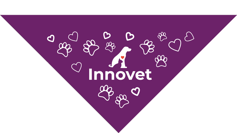 Purple Pet Bandanas - Large