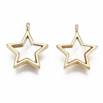 Natural Freshwater Shell Charms