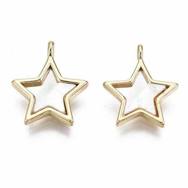Natural Freshwater Shell Charms