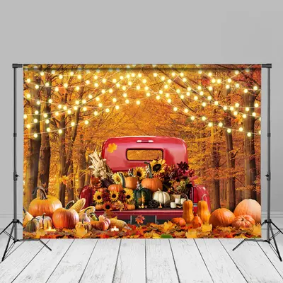Sunflower Bumper Crop Maple Trees Autumn Backdrop - Aperturee