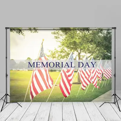 USA Flags Green Lawn Memorial Day Backdrop For Photo - Aperturee