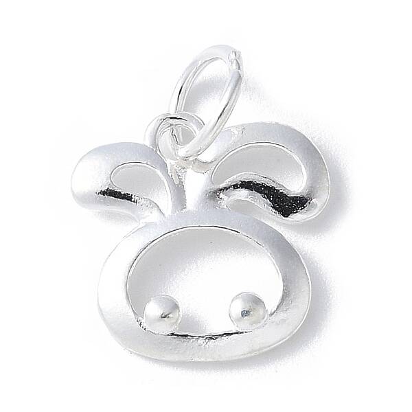925 Sterling Silver Chinese Zodiac Outline Charms