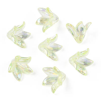 Transparent Acrylic Bead Caps