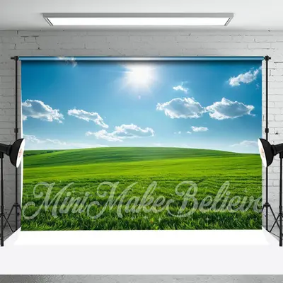 Grassland Blue Sky Cloud Spring Backdrop For Photo - Aperturee