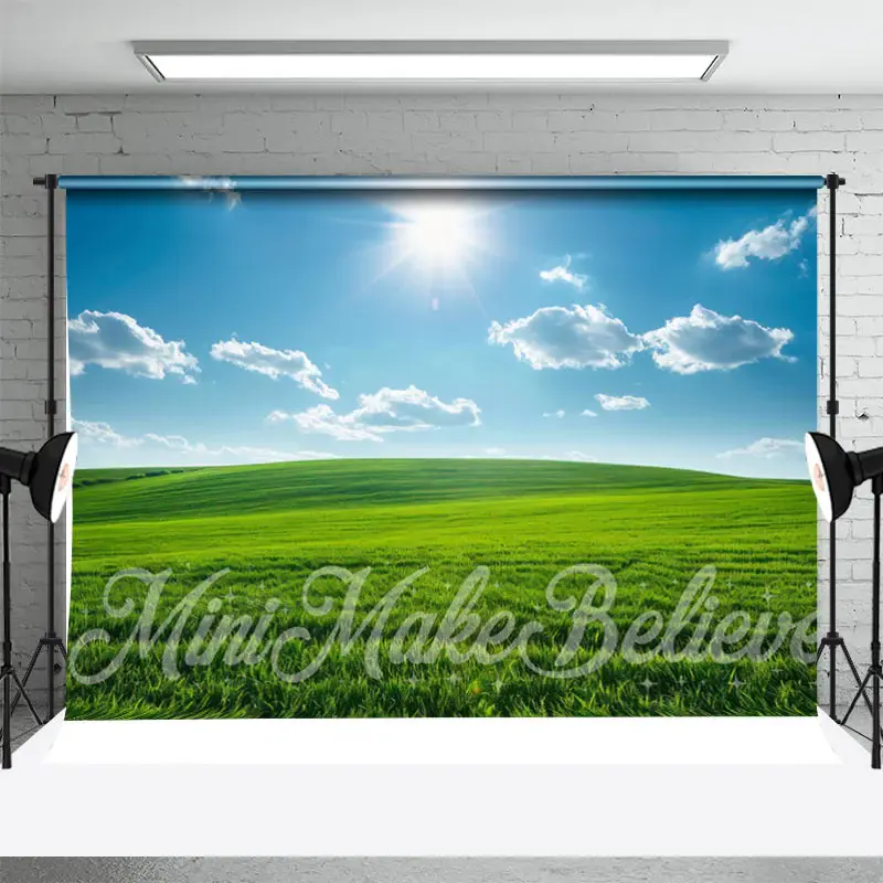 Grassland Blue Sky Cloud Spring Backdrop For Photo - Aperturee