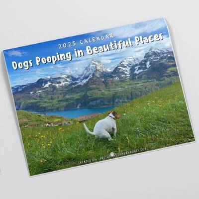 Dogs Pooping In Beautiful Places 2025 Calendar - Great Gag Gift White Elephant Secret Santa Dog Lovers
