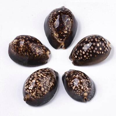 Natural Cowrie Shell Beads