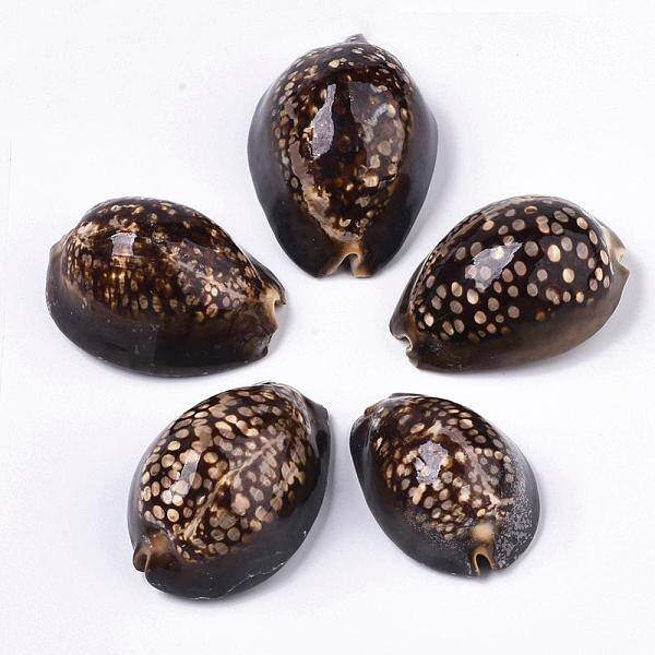 Natural Cowrie Shell Beads