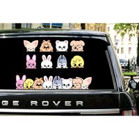 SKZOO Peeker Vinyl Car Decals - 4.5\