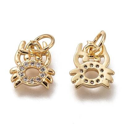 Brass Micro Pave Clear Cubic Zirconia Charms