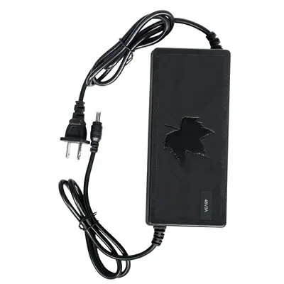 Burchda 3 Amp E-Bike Fast Charger - Y3