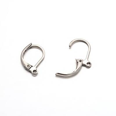 Tarnish Resistant 304 Stainless Steel Leverback Earring Findings