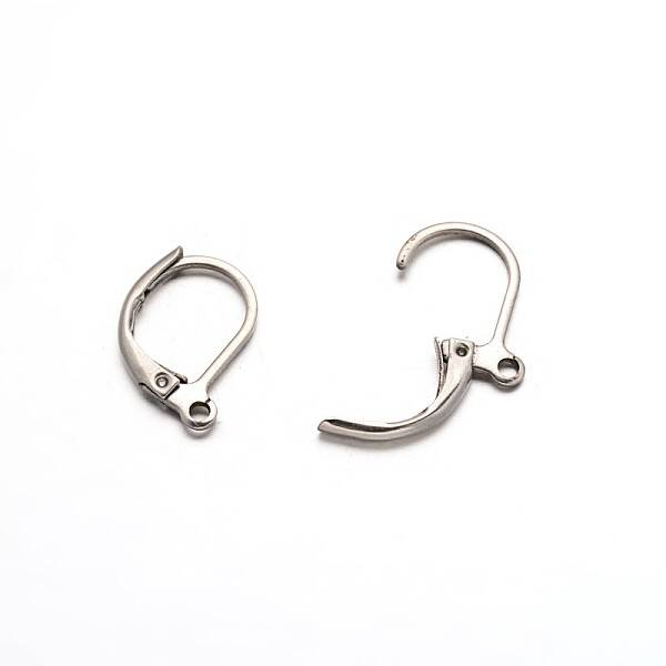 Tarnish Resistant 304 Stainless Steel Leverback Earring Findings