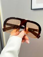Women's Tinted Lens Frames Sunglasses, Rich Girl Sunglasses, Casual Ombre Trendy Vintage Sunglasses for Everyday Use, Modern ...