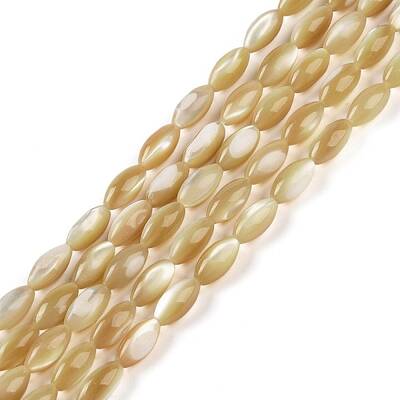Natural Trochus Shell Beads Strands