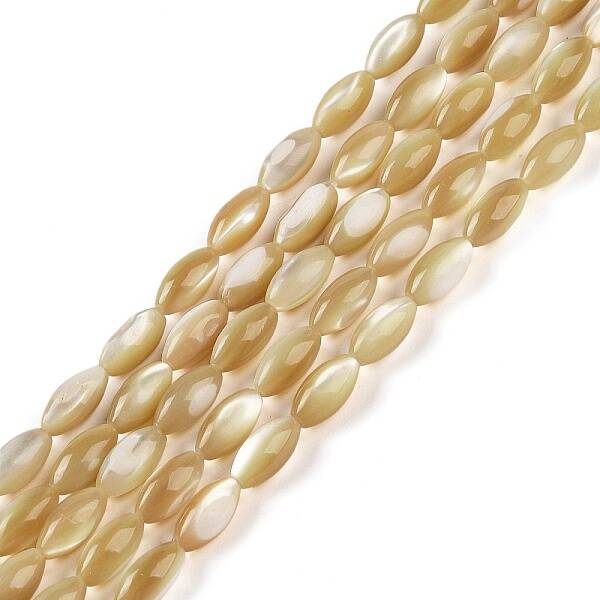 Natural Trochus Shell Beads Strands