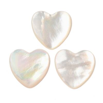 Natural White Shell Cabochons