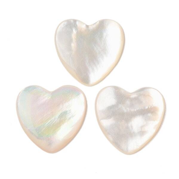 Natural White Shell Cabochons
