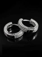 Rhinestone Decorated Hoop Earrings, Fashionable Earrings for Women & Men, Trendy All-match & Exquisite Jewelry for Birthday G...
