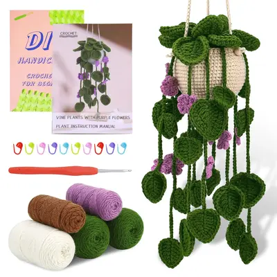 Crochet Kit, 1 Set Hanging Potted Plants Crochet Starter Kit with Step-by-step Video Tutorials Complete Crochet Kit (Purple F...