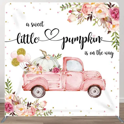 Aperturee Pumpkin Pink Car Fabric Backdrop Cover for Baby Shower - Aperturee