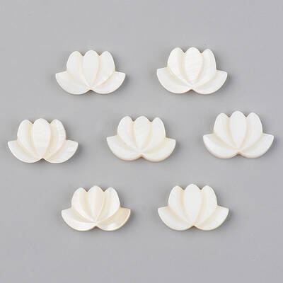 Natural Freshwater Shell Beads