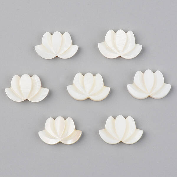 Natural Freshwater Shell Beads