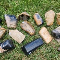 Petrified Wood Freeform 1pc Natural Mineral Specimen