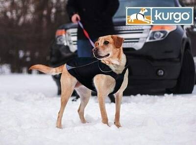 Waterproof North Country Dog Coat with LED Safety Light - S