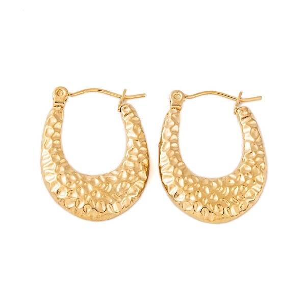 Ion Plating(IP) 304 Stainless Steel Hoop Earrings for Women