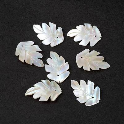 Natural Sea Shell Pendants