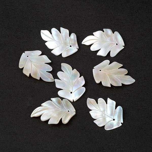 Natural Sea Shell Pendants