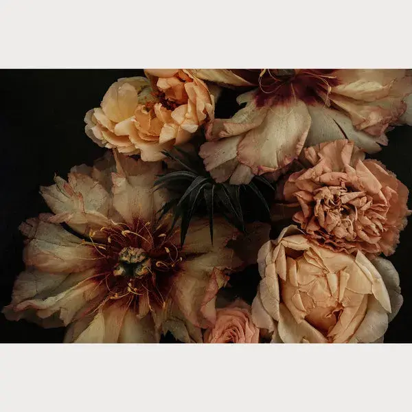 Founders Collection - 2 | Size: 24