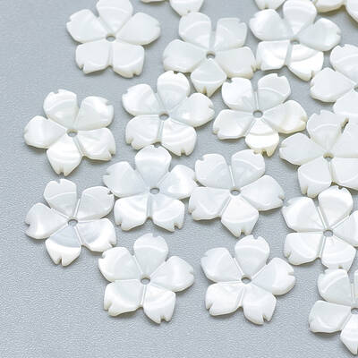 Freshwater Shell Beads